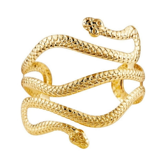 Women Bangle Cool Hip Hop Punk Personality Open Adjustable Twining Snake  Band - Picture 2 of 7